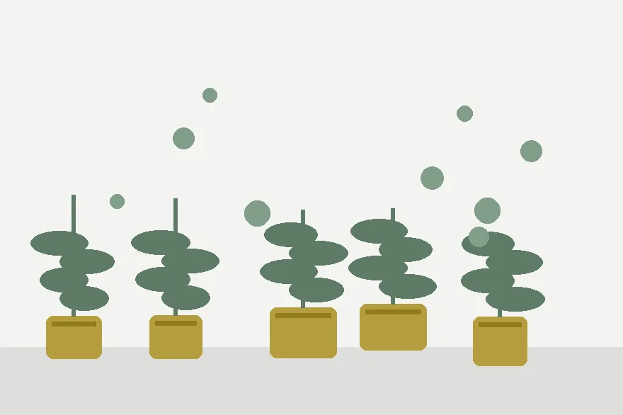 Building a Small-Space Propagation Station on One Windowsill
